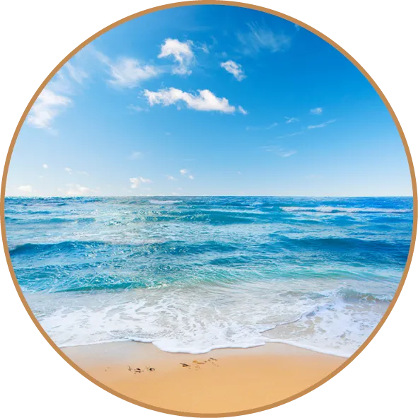 Lemi Bellaria ➜ СПА‑кровать и кушетка для процедур, купить в Украине | Alfaspa изображение 6