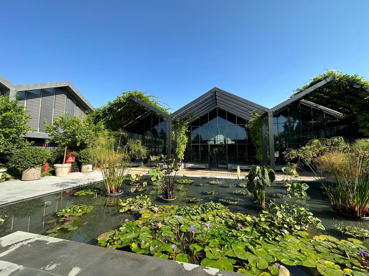 Украинский Дистрибьютор ALFA на Встрече Партнеров [comfort zone] в Davines Village | Alfaspa изображение 1