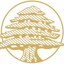 О компании ALFA Medical & Spa Development | Alfaspa изображение 64