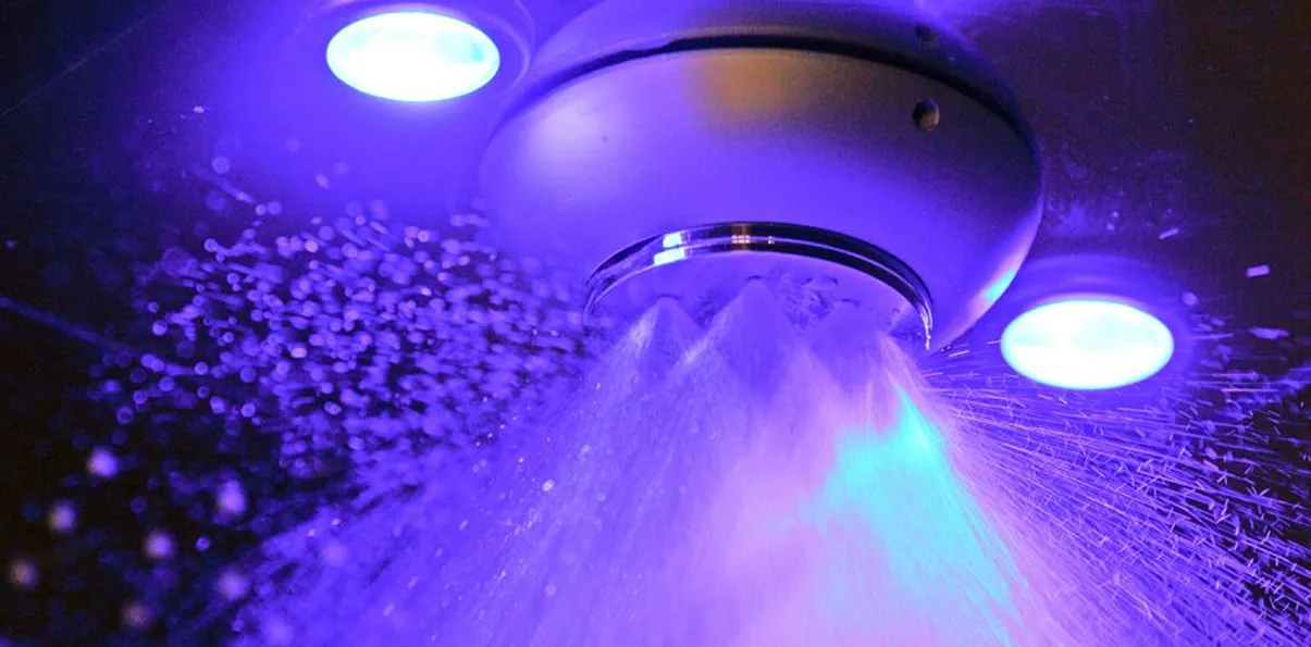 Пуща | Alfaspa изображение 6