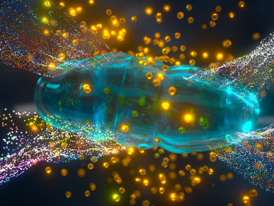 BT-Sculpt GEN2: Обладнання Bio-Therapeutic | Alfaspa зображення 14