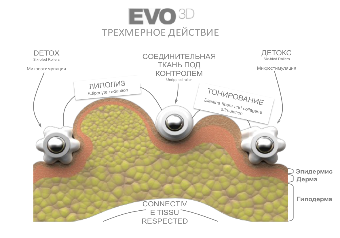Starvac DX Focus - Купить в Украине | Alfaspa изображение 37