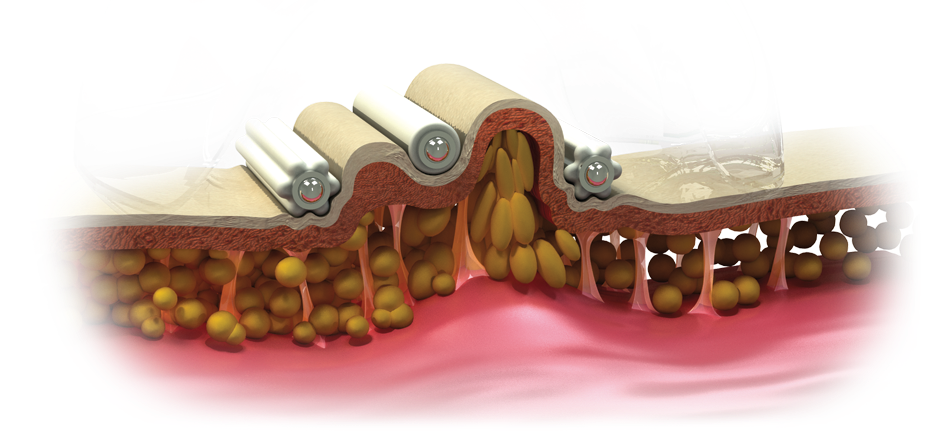 Starvac DX Focus - Купити в Україні | Alfaspa зображення 37