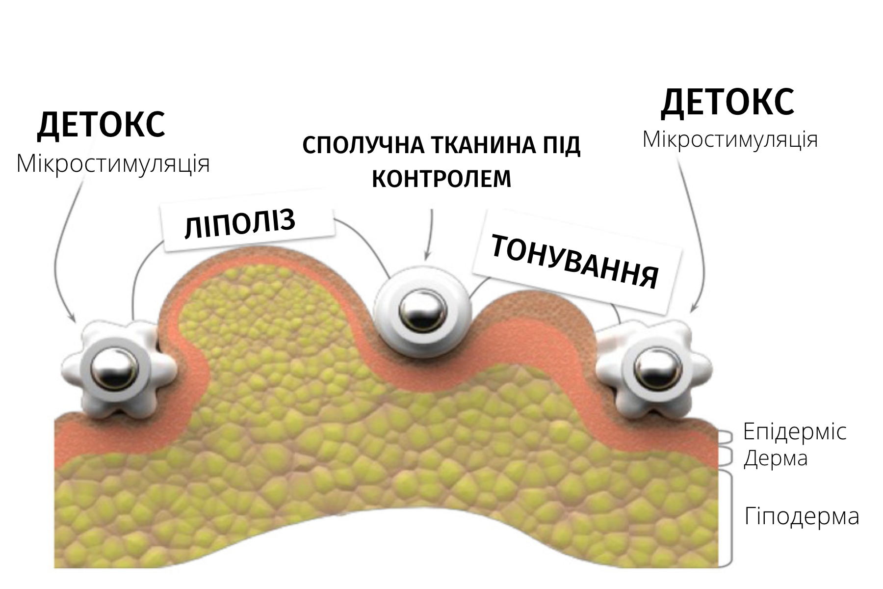 Starvac DX Focus - Купити в Україні | Alfaspa зображення 36