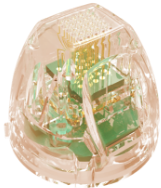 Classys FRAXIS DUO ➔ Апарат фракційного CO2 та мікроголкового лазера в Україні | Alfaspa зображення 19